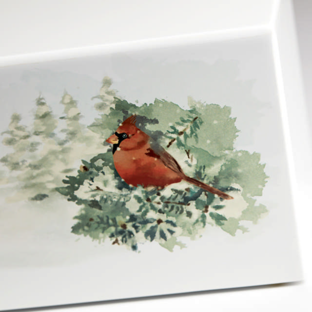 Somerset Cardinal