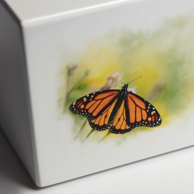 Somerset Butterfly