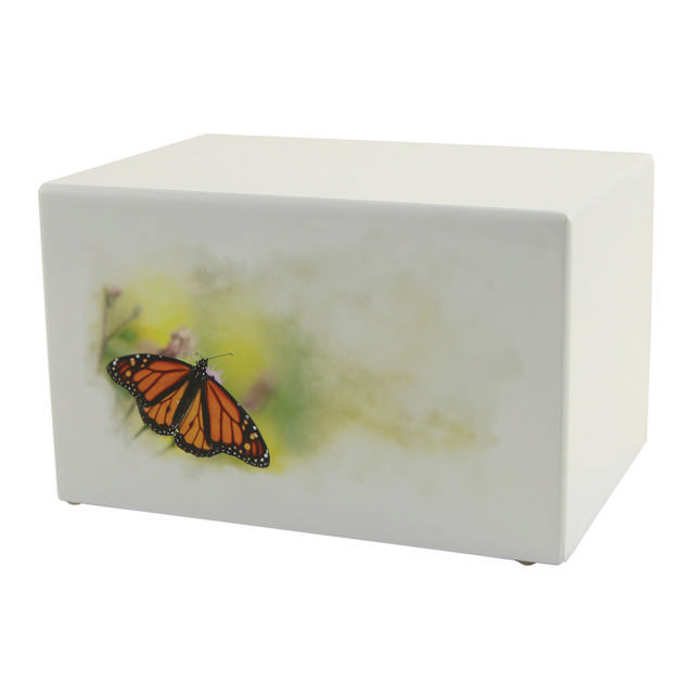 Somerset Butterfly