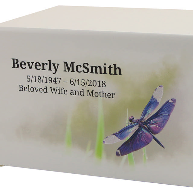 Somerset Dragonfly