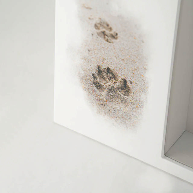 Shadowbox Pet Urn Paws in Sand