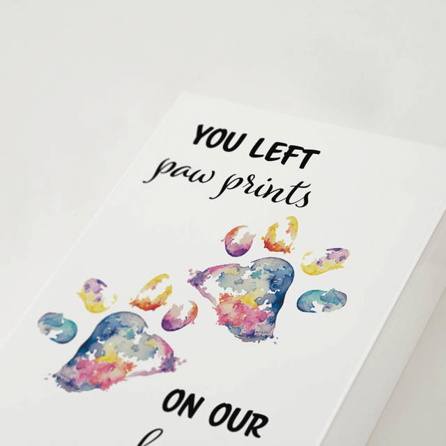 Shadowbox Pet Urn Paw Prints Rainbow