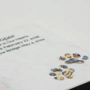 DETAIL4585
