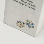 DETAIL4596