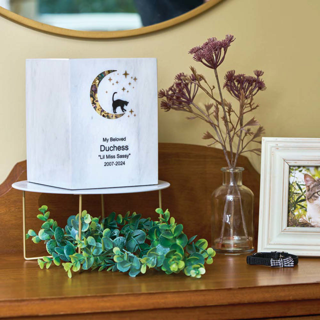 Monumental Memorials Pet Cat Moon Pink Inlay, Whte