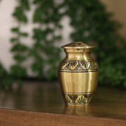 DETAIL3634