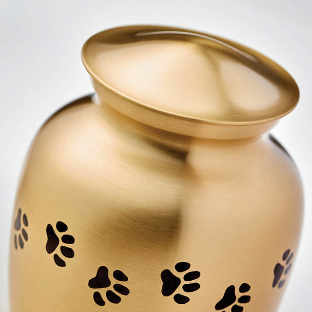 Classic Paw Brass, Petite Urn