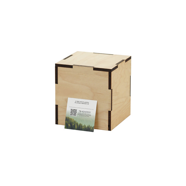 Origins Maple Box, Large - Case of 6