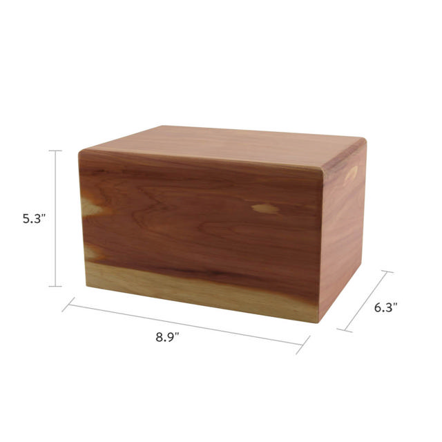 Cedar Box, Full Size Urn - Case of 6
