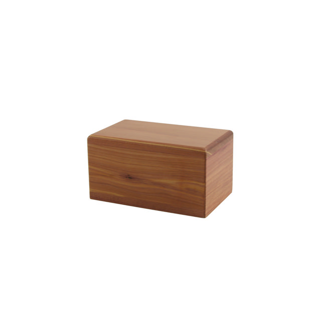 Cedar Box, Petite - Case of 24