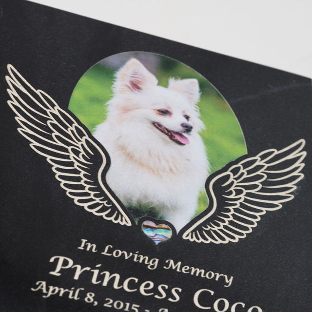 Design Your Own Pet Urn - Medium