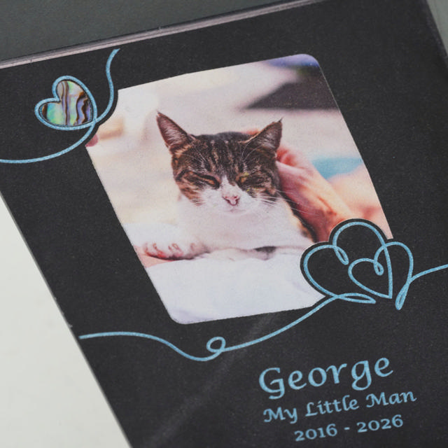 Design Your Own Pet Urn - Medium