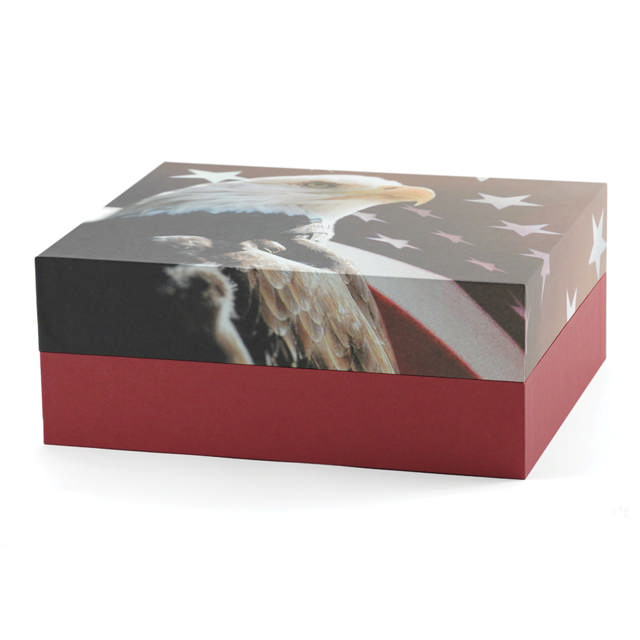 Explorer Scattering Urn Freedom, Full Size Urn