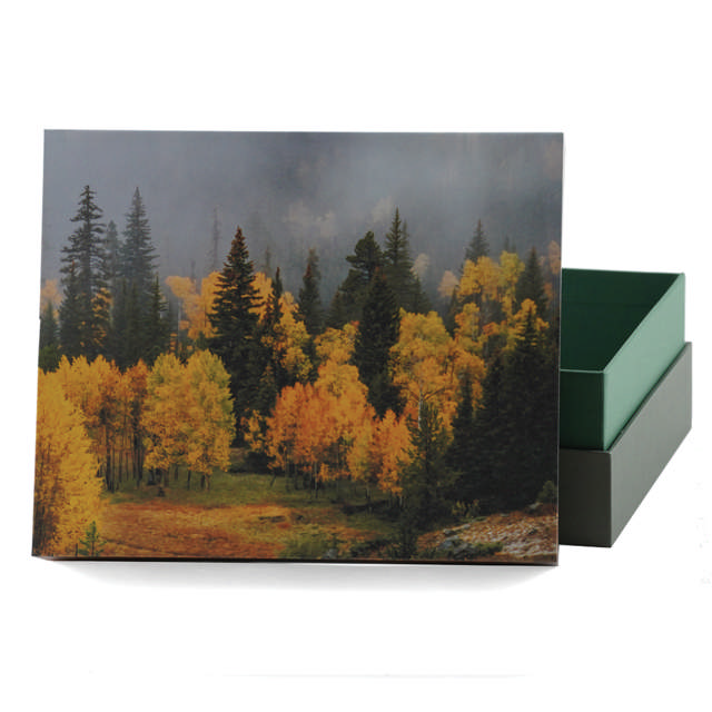 Explorer Scattering Urn Misty Autumn, Full Size Urn