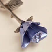 DETAIL1744