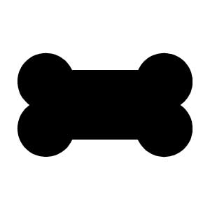 Bone 2