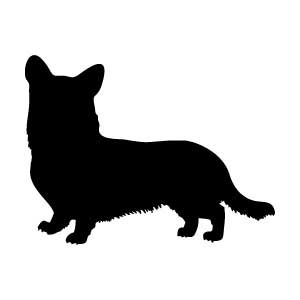 Corgi