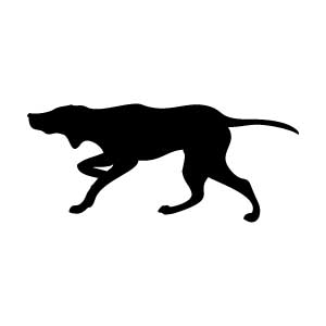 Pointer