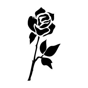 Rose Stem