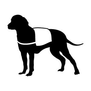 Service Dog